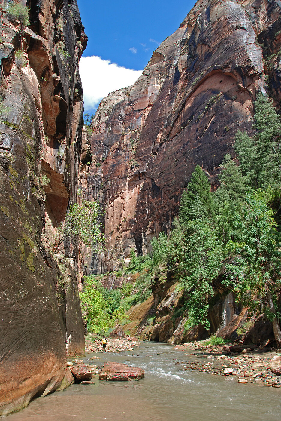 Zion - Narrows We ended our last day in Zion with a short walk in The Narrows, a narrow but very high gorge through which a river  flows. Stefan Cruysberghs